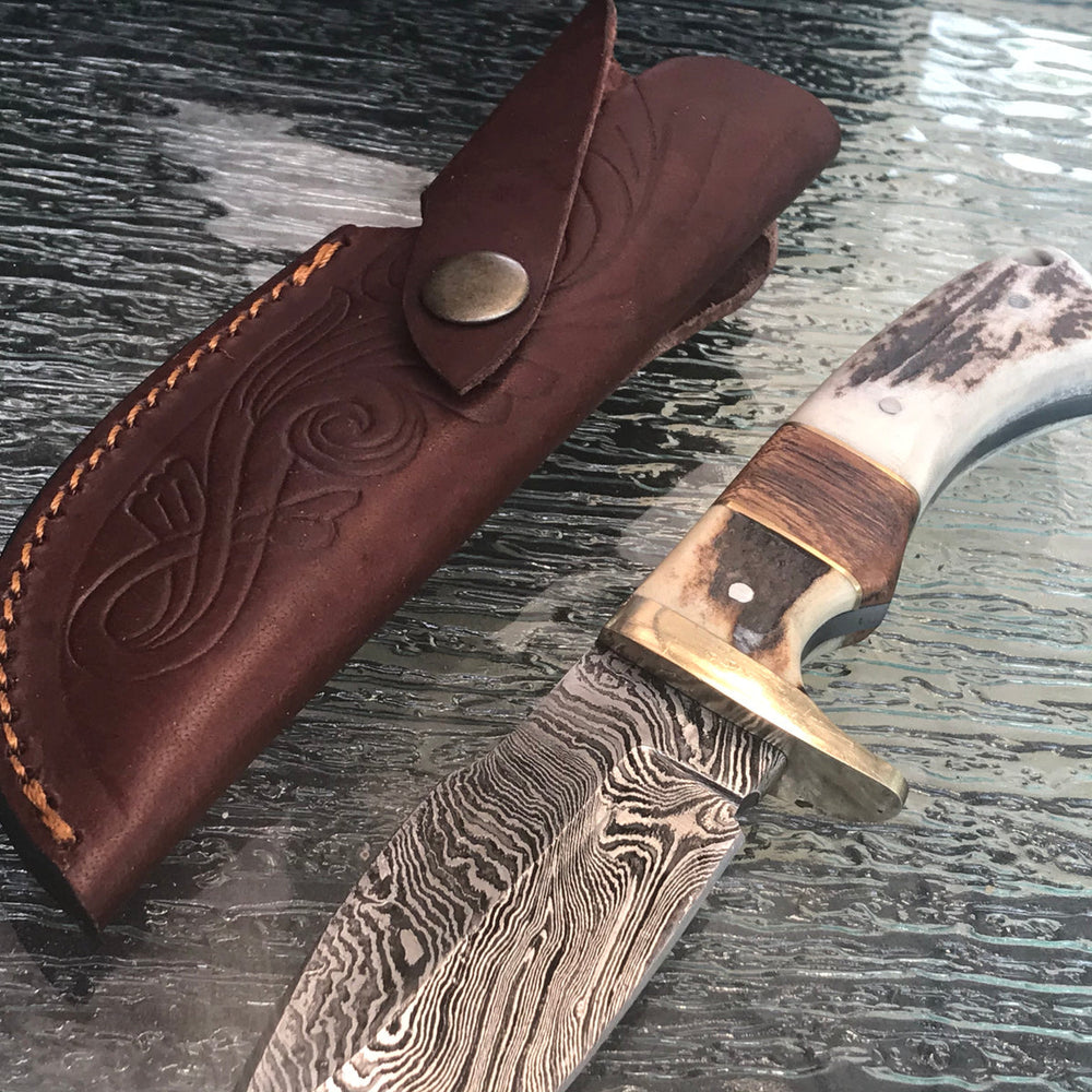 9-inch Damascus skinning knife with brown stag handle and sheath