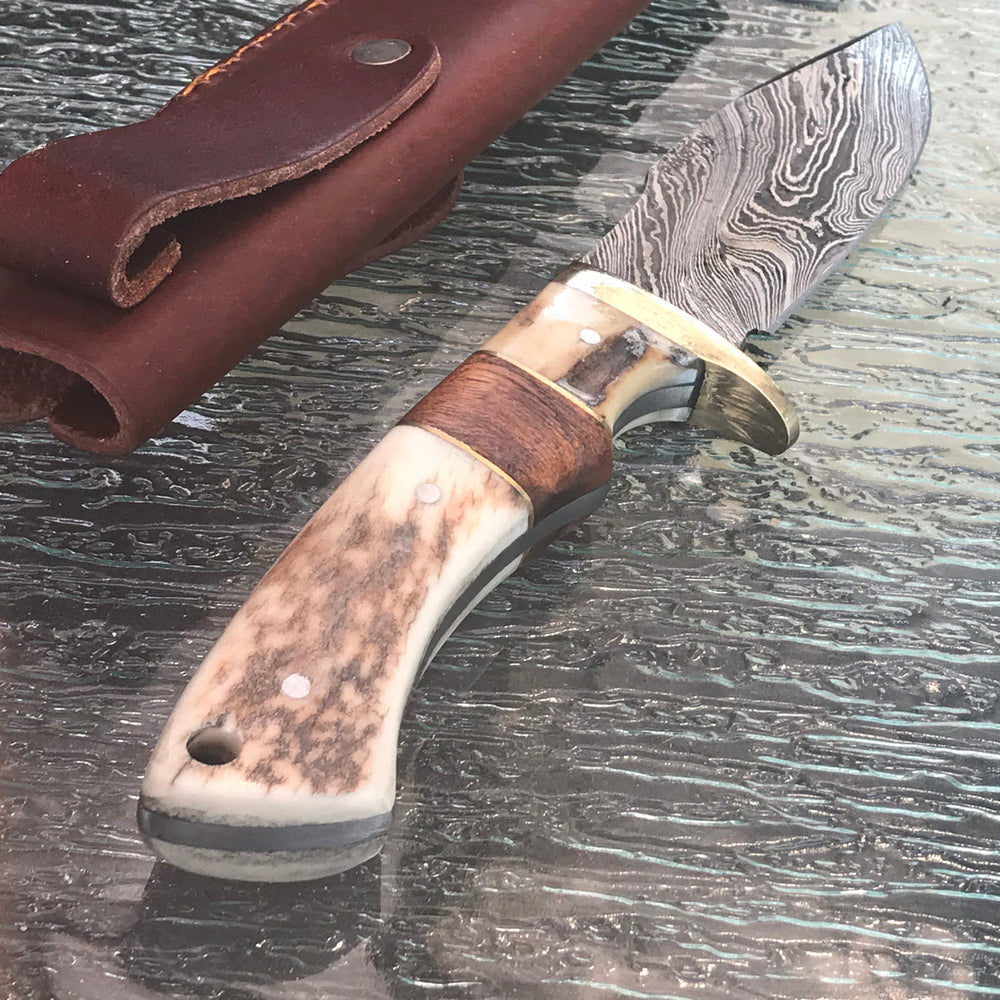 9-inch Damascus skinning knife with brown stag handle and sheath
