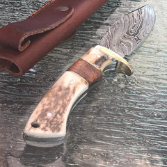 9-inch Damascus skinning knife with brown stag handle and sheath
