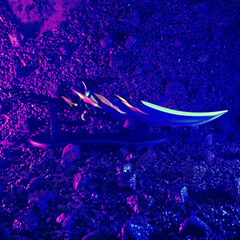 Dungeon Ascension Monarch Fang solid metal dagger replica